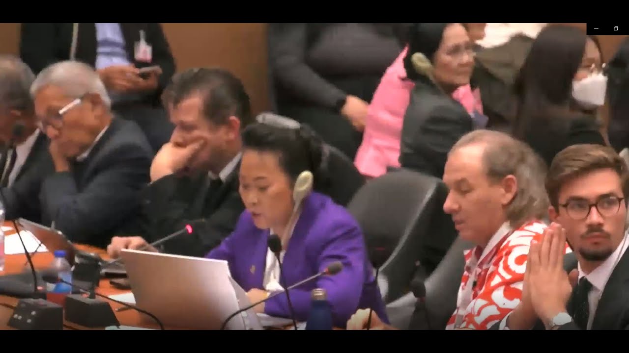 2090th Meeting, 89th Session, Committee on the El    UN Web TV