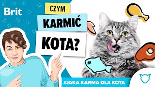 JAKA KARMA DLA: kota? Czym karmić kota? – Brit Polska