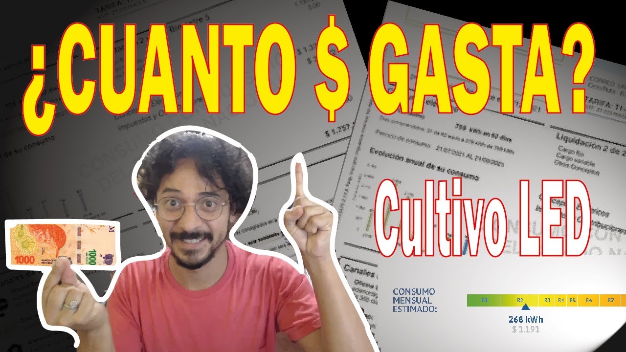 💡 CALCULAR EL CONSUMO💡 en pesos de nuestro panel led 💰 | FÁCIL con simulador de consumo