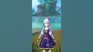 A thing you can do with Parametric Transformer