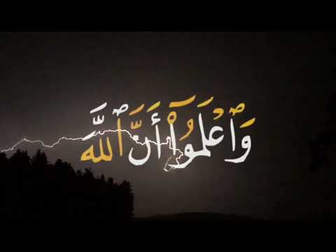 واتقوا الله واعلموا أن الله شديد العقاب البقرة 196