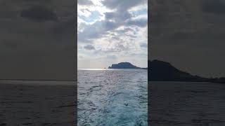 제주우도가는바다와 갈매기비행/제주바다풍경