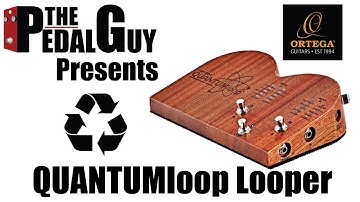 ThePedalGuy Presents the Ortega QUANTUMloop Looper