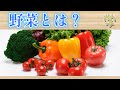 野菜とは？野菜って何なの？野菜ソムリエプロと一緒に学びましょう！