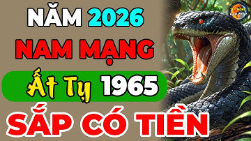 Tử Vi Năm 2026, Tuổi Ất Tỵ 1965 Nam Mạng: Vượt Sóng Vươn Cao, Lộc Lá Đầy Tay