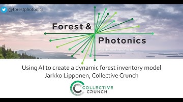 Using AI to create a dynamic forest inventory model, Collective Crunch