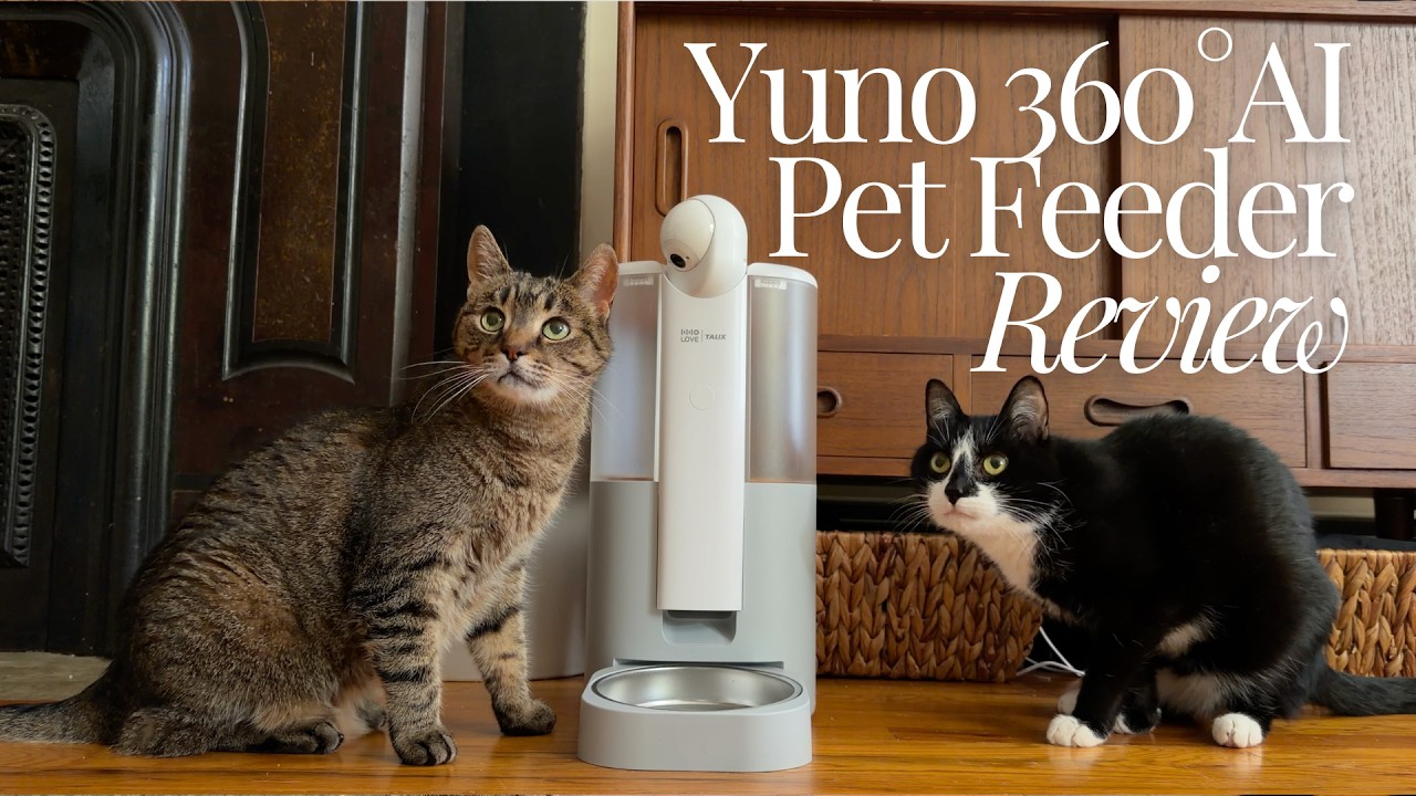 HHOLOVE Yuno 360° AI Pet Feeder Review | Smart Camera + Auto
