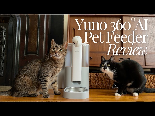 HHOLOVE Yuno 360° AI Pet Feeder Review | Smart Camera + Auto