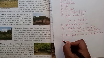 sst chapter 10 "forest and wildlife"  class 4