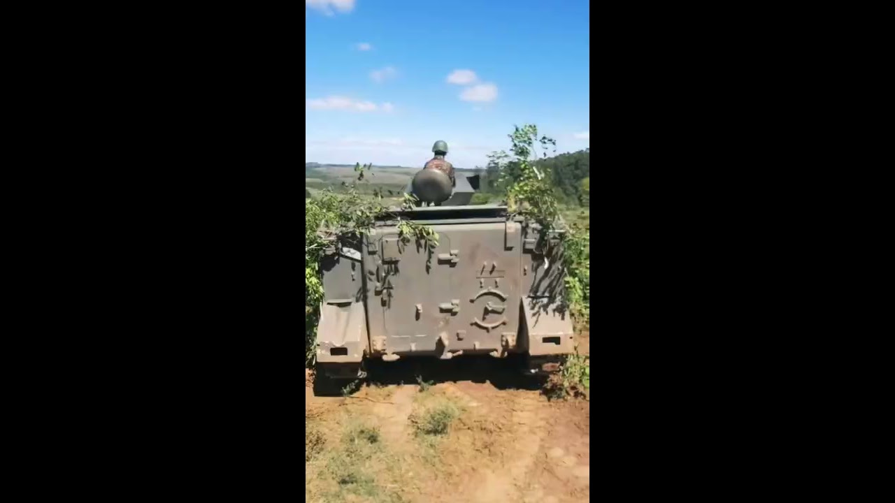 O Que Tem Dentro De Um M113 Shorts