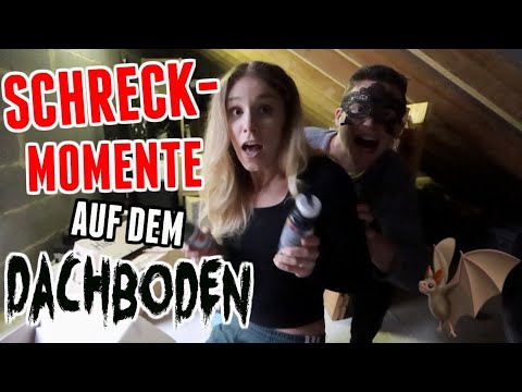 HELP!!! We found this in our attic... - Vlog 165