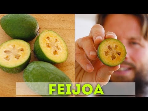 تصویری: نحوه انتخاب Feijoa