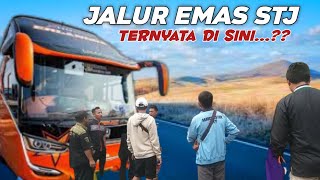 STJ TERNYATA MASIH DI IDOLAKAN DI JALUR INI ⁉️