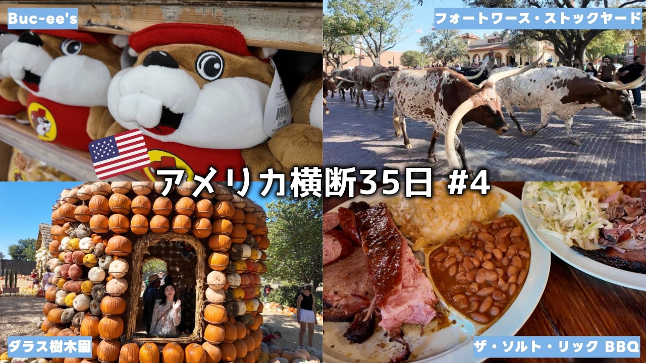 テキサス州見所ありすぎるって…！バッキーズ⛽️ ロングホーンの行進🐃 パンプキンパッチ🎃 BBQ🍖 そして宇宙センター🚀 アメリカ横断 🇺🇸 #4
