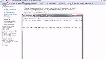 6   Ajax security LAB client side filtering