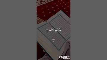 🤍💙ولسوف يعطيك ربك فترضي💙🤍#المصحف#قناه نور القرآن الكريم #صلو على النبي#لاتنسوا اخواننا من دعائكم