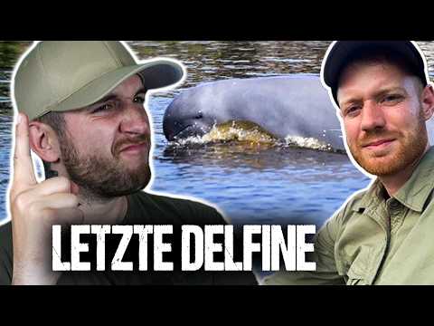 Kampf um die LETZTEN DELFiNE – so retten Ranger diese Tiere | KUNI reagiert