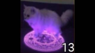 [Star Glitcher Revitalized] Solo Aleph Demonic small silver feline after rework