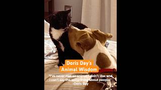 Doris Day's Animal Wisdom #dogsandcats  #didyouknowthat