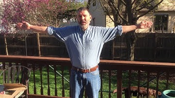 Line Line Segment Ray Arm Motions Explained