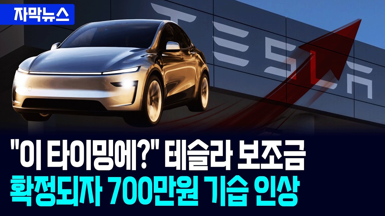 [자막뉴스] 보조금 발표 하루 만에 가격 인상…테슬라코리아, 최대 700만원 올렸다 / 사건텔러