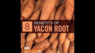 Yacon root - what is yacon root - where to buy yacon root - what is yacon root used for