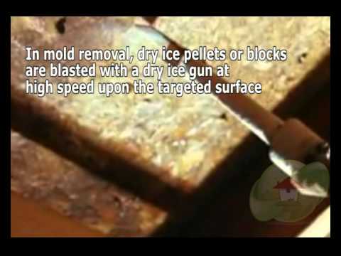 how-does-baking-soda-and-dry-ice-blasting-work-in-mold-removal?