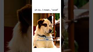 Talking Dog Exposed Woof