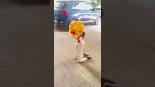 The lion dance 6. #animalfun #cutepets #liondance #kids #cute #funny