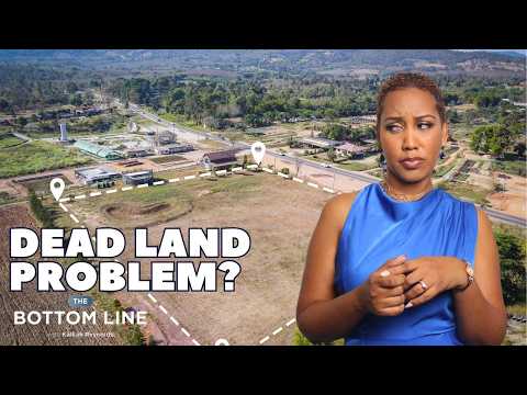 Does Jamaica Have a “Dead Land” Problem?