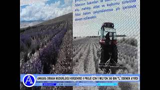 Ankara Orman Müdürlüğü Kırşehire 8 Proje İçin 5 Milyon 360 Bin Tl  Ödenek Ayırdı