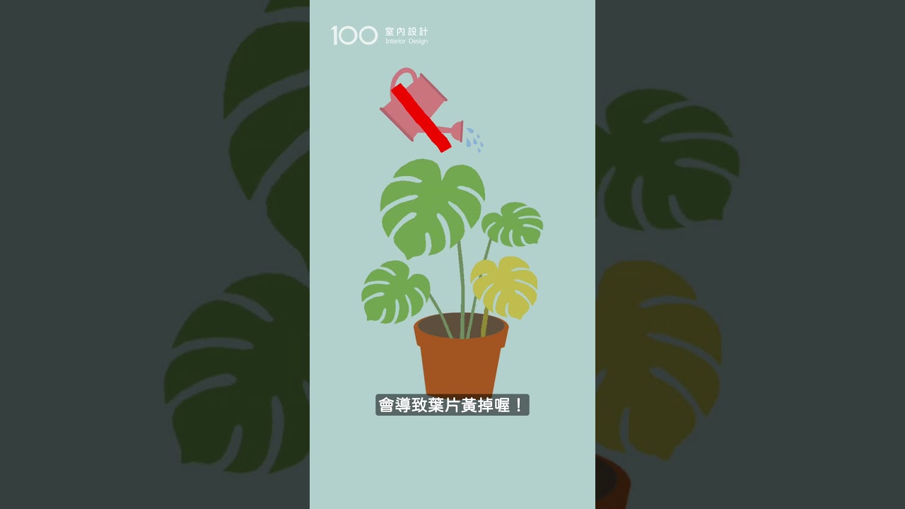 新手也能養好的3種入門植物🪴 縮圖