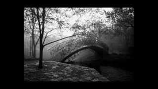 Alexandr Swan - C'est La Vie (cover Emerson Lake and Palmer)