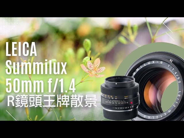 Leica Summilux-R 50mm f1.4 王牌散景- YouTube