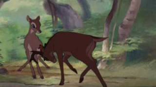 Bambi || Bones Shatter || Hedley (I'M BACK!!)