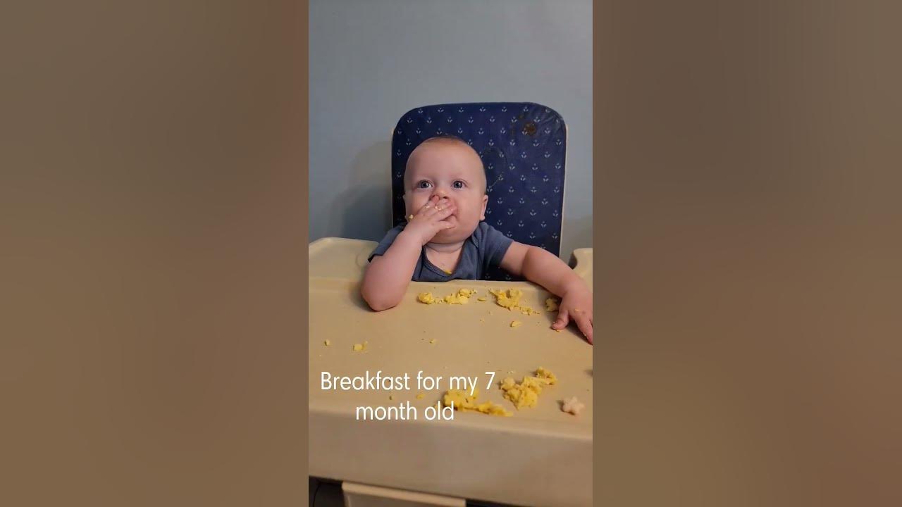 breakfast-for-my-7-month-old-scrambled-eggs-babyledweaning