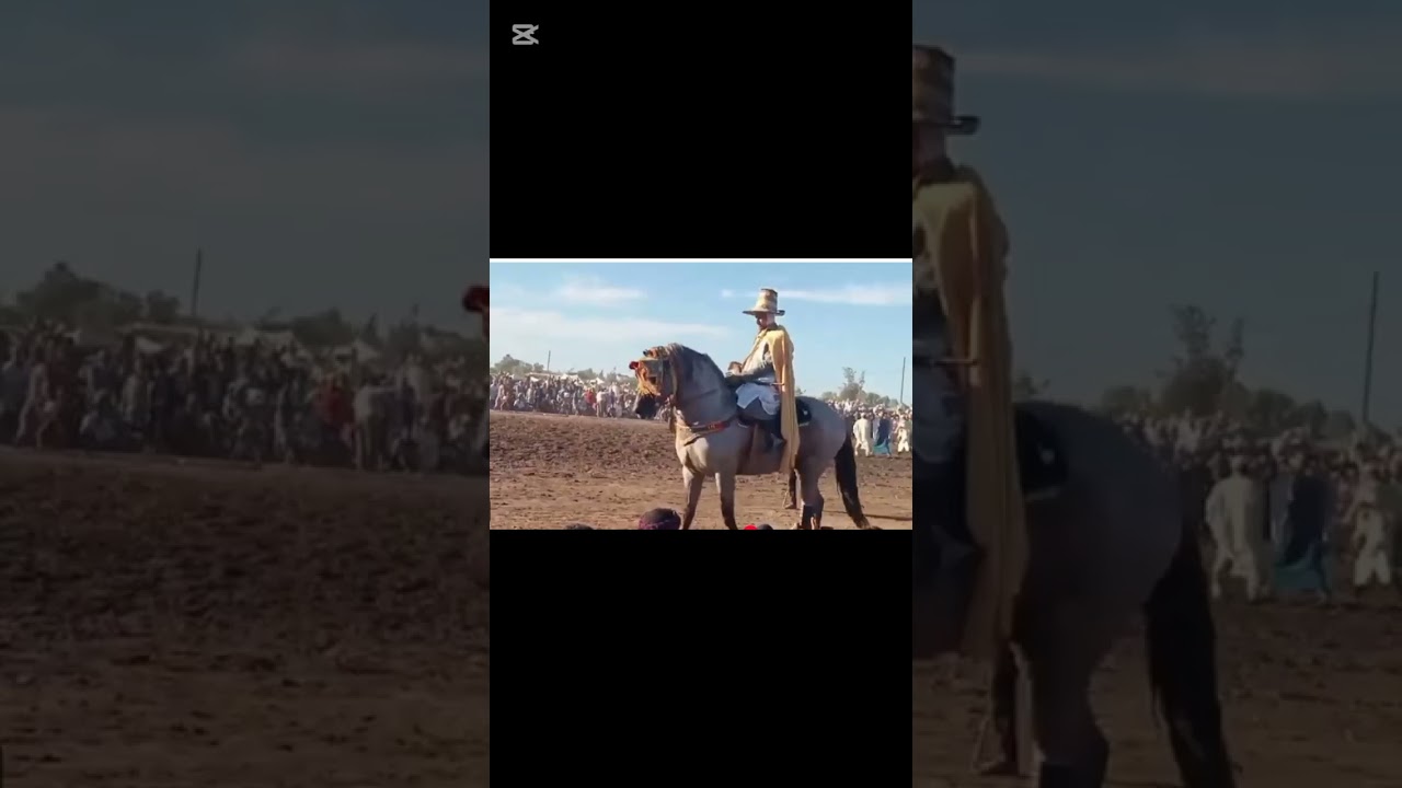 قصيدة الادهم الأقرح