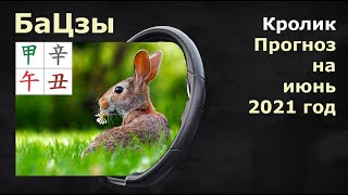 КРОЛИК прогноз на июнь 2021 от Анны Зайцевой