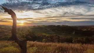 Boot Ranch Introduction (hd)