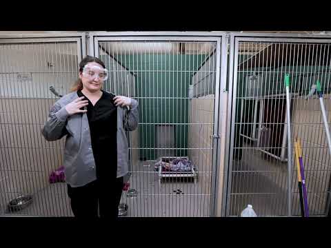 Video: Pet Scoop: ASPCA: n Barknado ottaa 