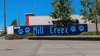 Mural Project at Mill Creek Middle School (Kent, WA)
