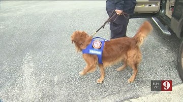 Video: Hurricane Michael: Orlando firefighters return from ravaged panhandle