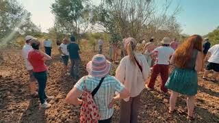 Xylella fastidiosa: Learning from the frontline in Apulia