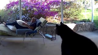 Man’s relaxing outdoor moment interrupted by startling visit from curious bear!