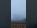 KABUTNYA TEBAL #kabut#pagi #pemandangan