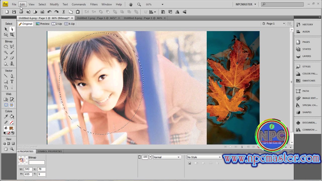 12 How to Use Oval Marquee Tool in Adobe Fireworks CS4 Sinhala HD - YouTube