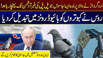 Russia Turned Pigeons Into Bio-Drones | Will You Work As a Spy In The Future? | City 41