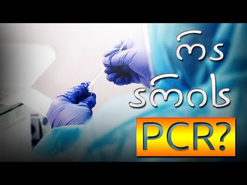 რა არის PCR?
