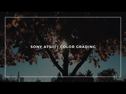 SONY A7SIII | Color Grading