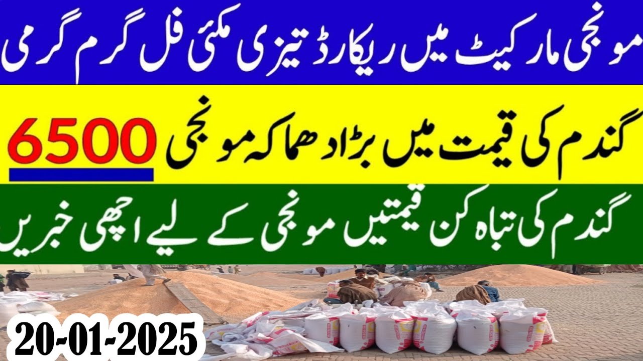 wheat price 2025| Munji rates 2024 /Gundam rate /Makki Till rates 2025 ...